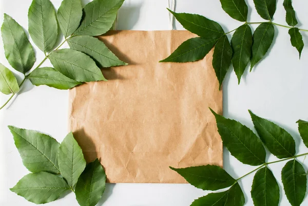 Paper bag and green leaves isolated on white background. Ready-made eco shopping concept. Top view. Flat lay.