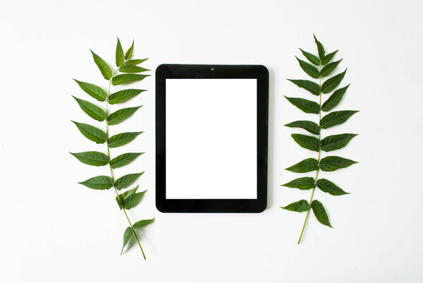 Green leaves and tablet isolated on a white background. The concept of the workplace. Place for text. Flat lay. Top view. mock up