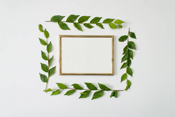 Frame of green leaves isolated on a white background. Place for text. Flat lay. Top view. mock up