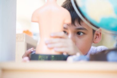 Küçük çocuk öğrenme anatomi vücut modeli bilim sınıfı