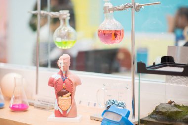 Küçük çocuk öğrenme modeli ve kitap bilim Kitaplığı'nda