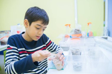 Çocuk fen bilgisi dersinde şişe küçük ağaç bitki