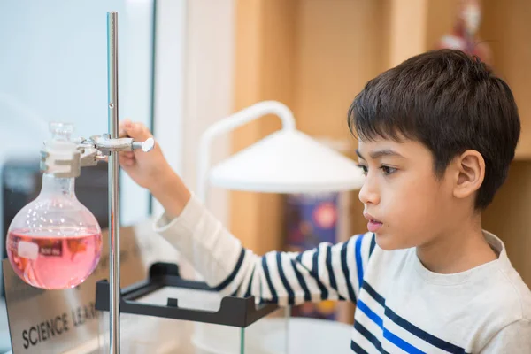 Kid Studium Biologie Hmyzu Věda Třída — Stock fotografie