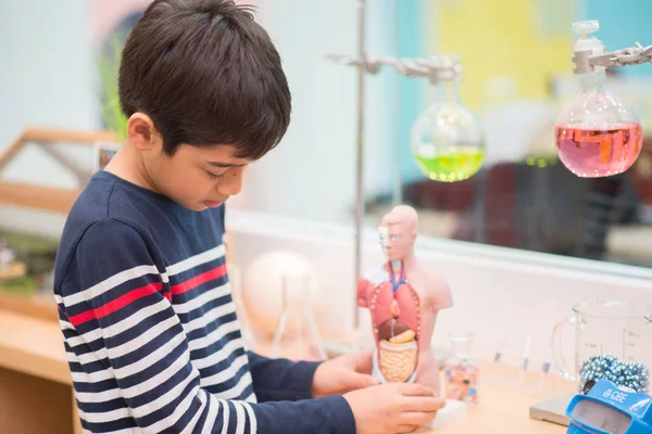 Jongetje Bibliotheek Van Wetenschap Leren Van Het Model Het Boek — Stockfoto