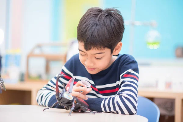 Enfant Étude Biologie Insecte Dans Classe Science — Photo