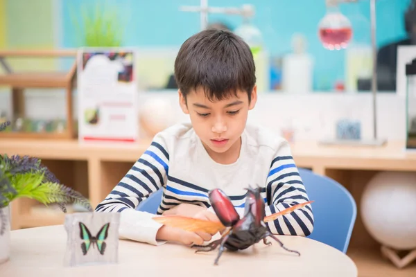 Kinder Studieren Biologie Insekt Naturwissenschaftlichen Unterricht — Stockfoto