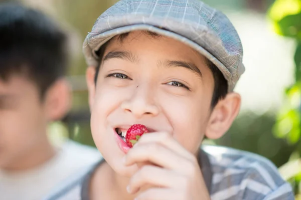 Little Sibling Boy Eating Fighting While Eat Strawberry — Stock Photo, Image