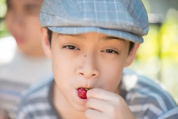 Μικρό Αδελφό Αγόρι Τρώει Και Την Καταπολέμηση Ενώ Τρώνε Φράουλα — Φωτογραφία Αρχείου