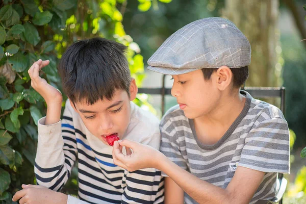Kleiner Geschwisterjunge Isst Und Kämpft Während Erdbeere Isst — Stockfoto