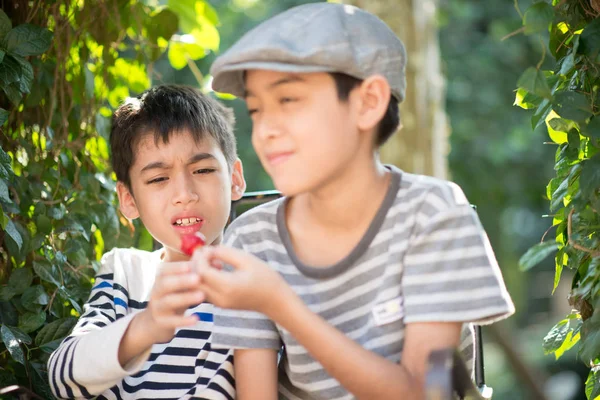 Little Sibling Boy Eating Fighting While Eat Strawberry — Stock Photo, Image