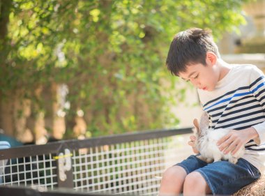 Küçük çocuk gıda için tavşan besleme