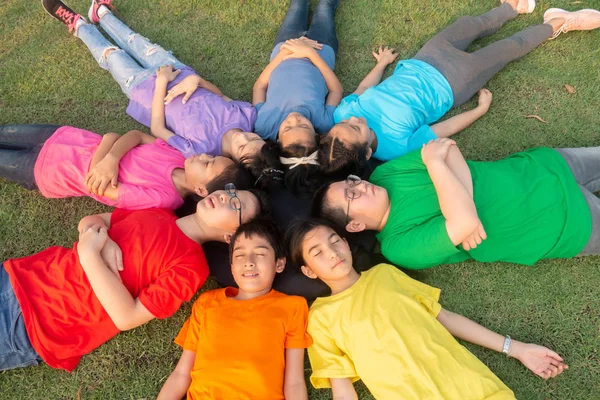 Groupe Amitié Étudiant Travail Équipe Allongent Sur Herbe Détente — Photo