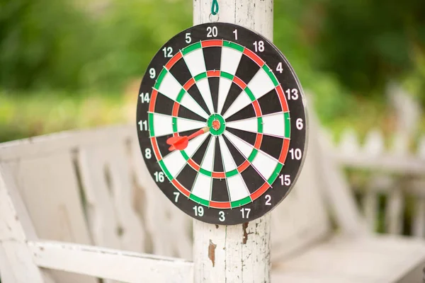 Kleine Jongen Spelen Darts Board Familie Outdoor Activiteit — Stockfoto