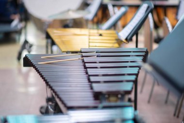 Students At Performing Arts School Playing In Band  xylophone, percussion instrument concept