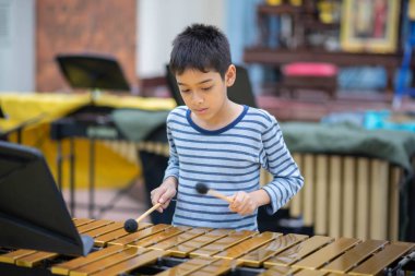 Students At Performing Arts School Playing In Band  xylophone, percussion instrument concept