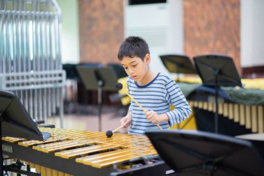 Students At Performing Arts School Playing In Band  xylophone, percussion instrument concept