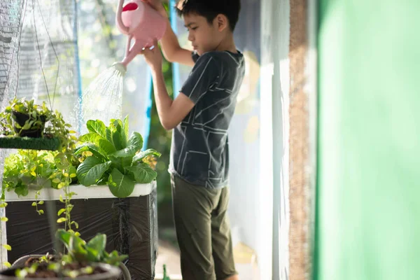 Tiener Jongen Water Geven Oogsten Hydrocultuur Groente Het Huis Achtertuin — Stockfoto