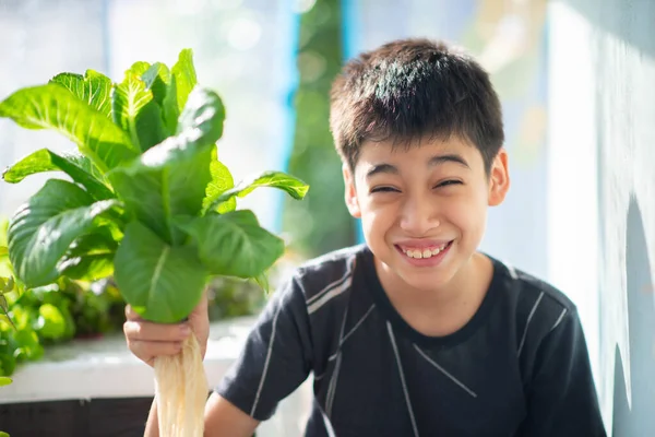 Evin Arka Bahçesinde Sulayan Sebze Toplayan Genç Bir Çocuk — Stok fotoğraf