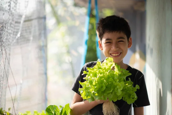 Adolescent Garçon Arrosage Récolte Hydroponique Légumes Dans Maison Arrière Cour — Photo