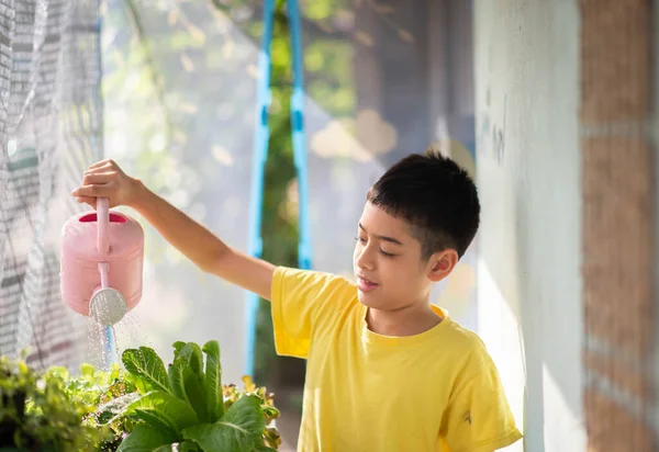 Adolescent Garçon Arrosage Récolte Hydroponique Légumes Dans Maison Arrière Cour — Photo