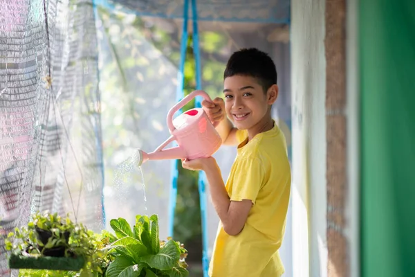 Мальчик Подросток Поливает Собирает Гидропонные Овощи Дворе Дома — стоковое фото