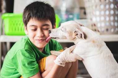 Küçük çocuk yaşlı köpek Jack Russell 'a sevgiyle sarılıp öpüyor.