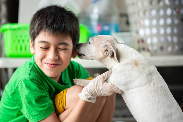 Little Teen Boy Hugging Kissing Old Dog Jack Russel Love — Stock Photo, Image