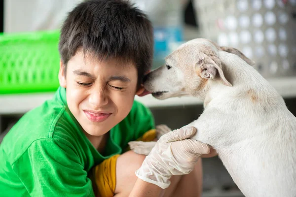 Little Teen Boy Hugging Kissing Old Dog Jack Russel Love — Stock Photo, Image