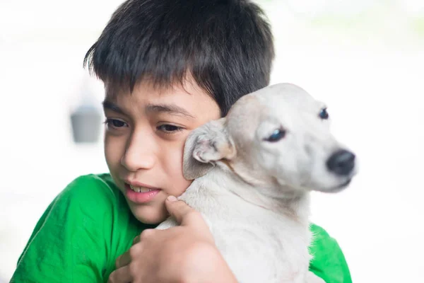 Little Teen Boy Hugging Kissing Old Dog Jack Russel Love — Stock Photo, Image