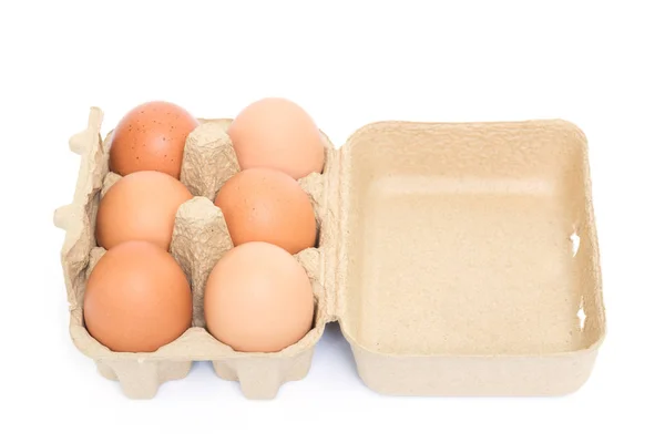 Chicken Eggs Pulp Egg Carton White Background — Stock Photo, Image