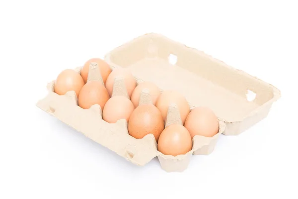 Chicken Eggs Pulp Egg Carton White Background — Stock Photo, Image