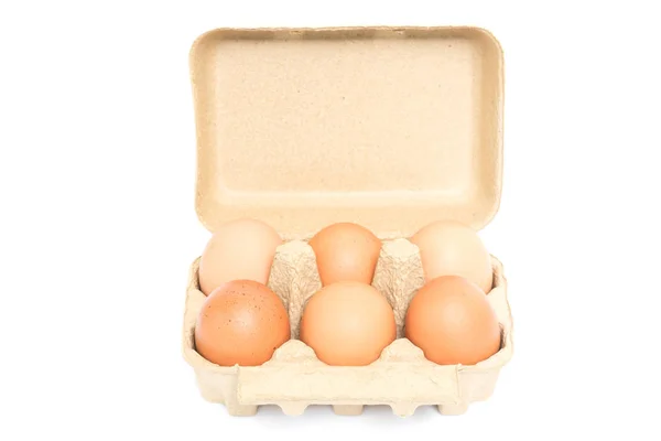 Chicken Eggs Pulp Egg Carton White Background — Stock Photo, Image