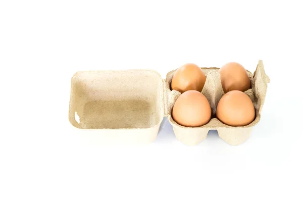 白底纸浆蛋盒中的鸡卵 — 图库照片