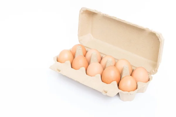 Chicken Eggs Pulp Egg Carton White Background — Stock Photo, Image