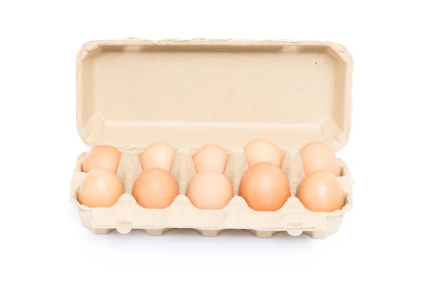 Chicken Eggs Pulp Egg Carton White Background — Stock Photo, Image