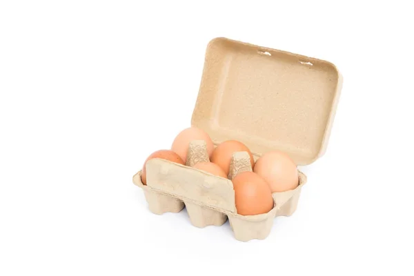白底纸浆蛋盒中的鸡卵 — 图库照片