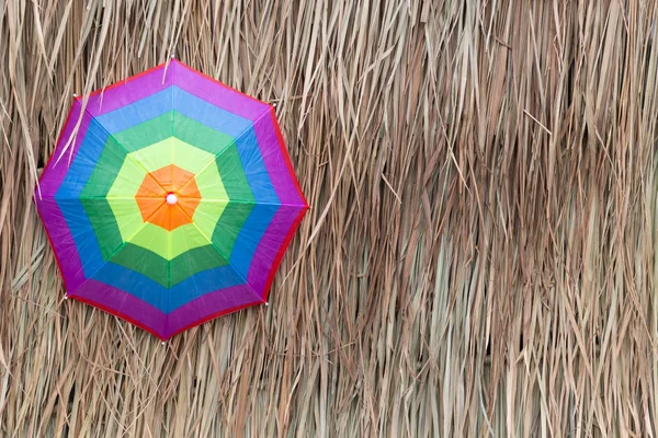 Colorful umbrella on dry leaf grass background — Stock Photo, Image