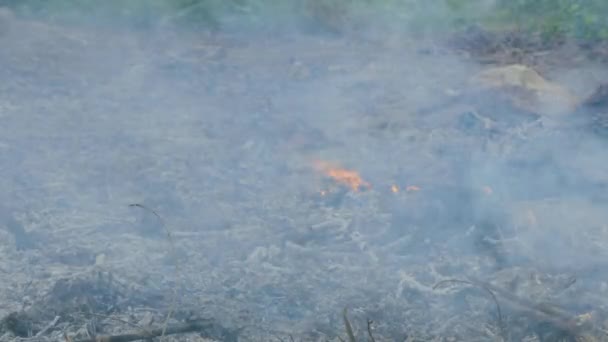 Kleine Flamme Verhindert Das Löschen Während Rauch Und Asche Durch — Stockvideo
