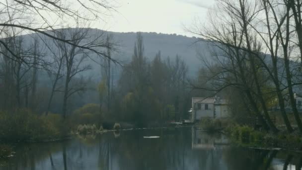 숲으로 둘러싸인 호수의 오래된 — 비디오