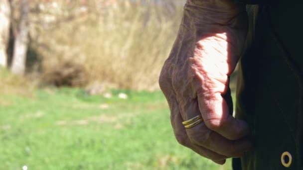 指に光沢のある既婚指輪を持つ高齢女性の手 自然の背景 — ストック動画