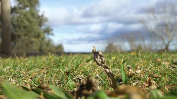 Día Soleado Campo Vuelve Nublado — Vídeos de Stock