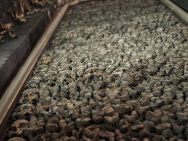 Duvara gömülü kafatasları, San Bernardino alle Ossa Kilisesi, Milano