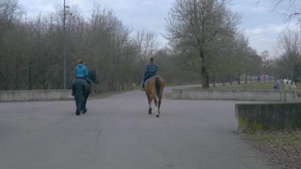 Twee Mensen Paardrijden Paarden Door Het Centrum Van Het Park — Stockvideo