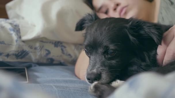 茶色の目をしたかわいい黒い犬が愛人とベッドの上で休んで 彼が眠りに落ちるまで彼女の耳をストロークする — ストック動画