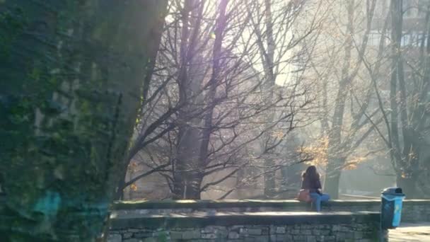 坐在老墙上的年轻女子一边吃着苹果 一边看着美丽的公园 光线照亮了树丛 贝加莫 现场旅行 生活方式 — 图库视频影像