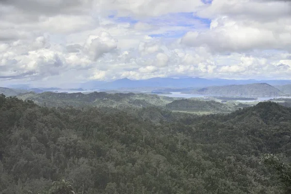 Bosque Tailandia Con Vista Paisaje —  Fotos de Stock