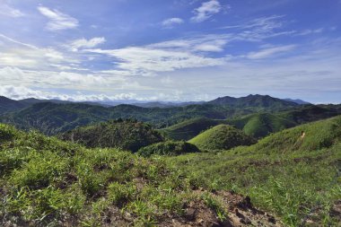 Manzara Manzaralı Tayland Batı Orman