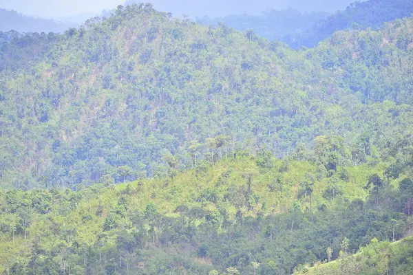 Bosque Oeste Tailandia Con Vista Paisaje —  Fotos de Stock