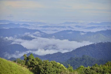 Manzara Manzaralı Tayland Batı Orman