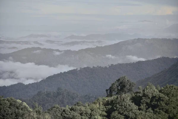 Bosque Oeste Tailandia Con Vista Paisaje Temporada Lluvias —  Fotos de Stock